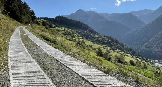 Landschaftsverträglichkeit von Meliorationen : Eine Analyse der Treiber und Auswirkungen